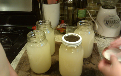Alton Brown’s “Good Eats” Ginger Ale Recipe